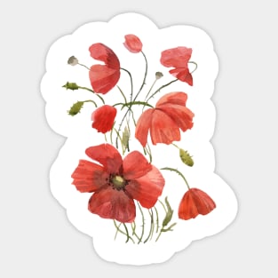 Poppies Sticker